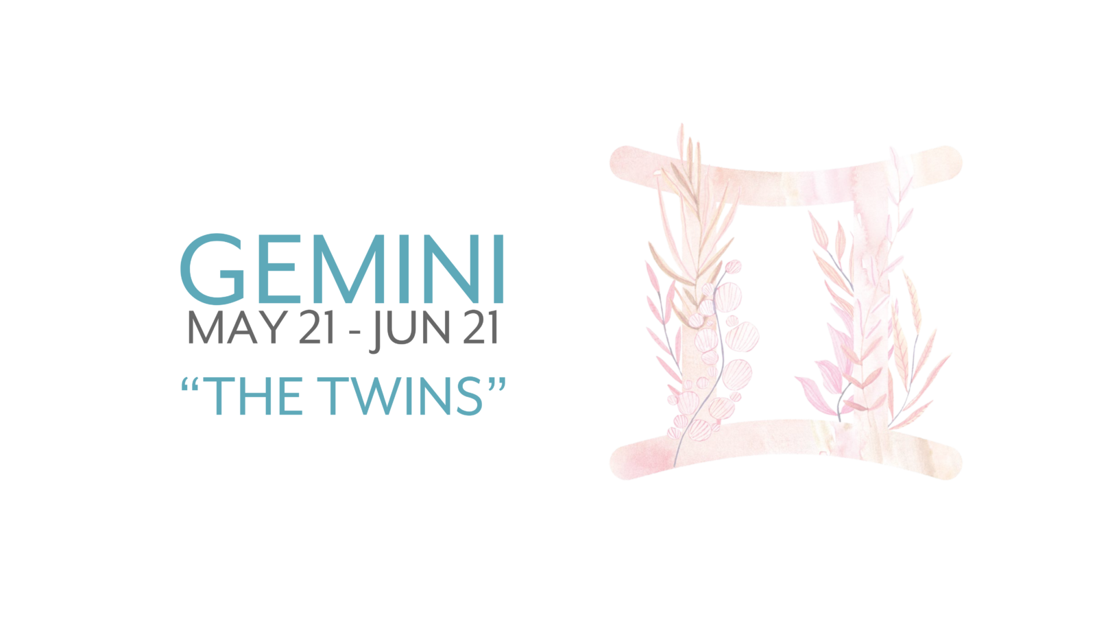 Gemini house plant recommendation birthdays from May 21 - June 21