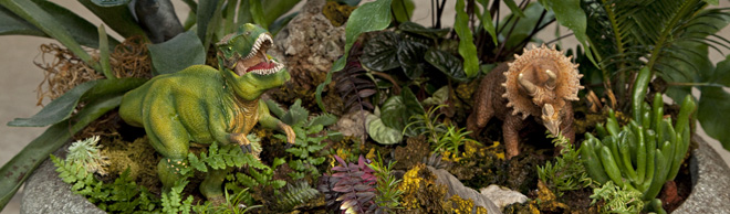 Dinosaur themed container plant | Salisbury Greenhouse - St. Albert, Sherwood Park