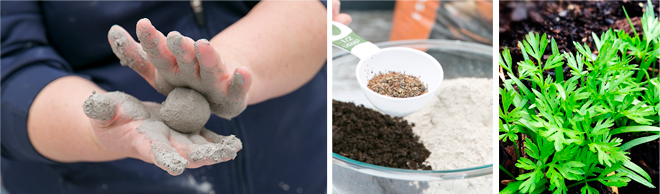 Person making a seed bomb | Salisbury Greenhouse - St. Albert, Sherwood Park