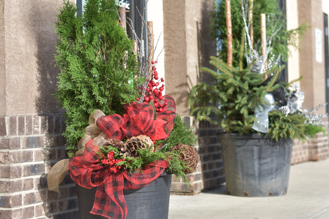 Outdoor Winter Planters Salisbury Greenhouse