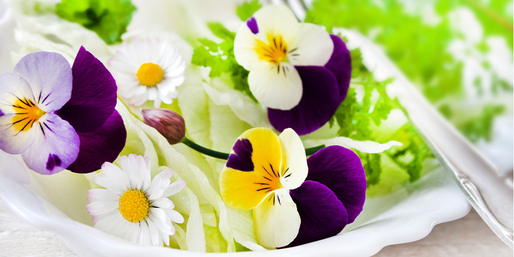 5 Edible Flowers for Fabulous Dishes main