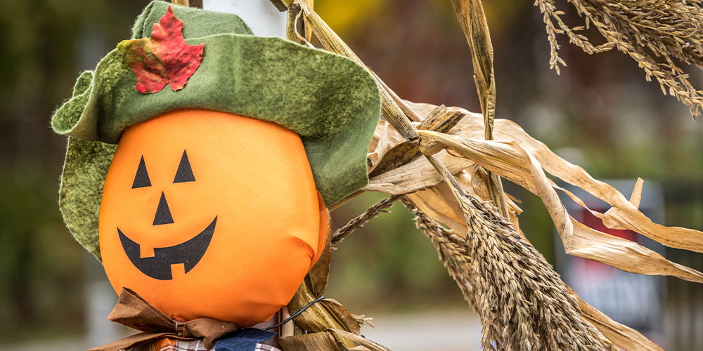 5 Family Halloween Activities DIY scarecrows