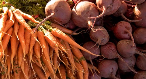 Carrots, Beets | Salisbury Greenhouse - St Albert, Sherwood Park