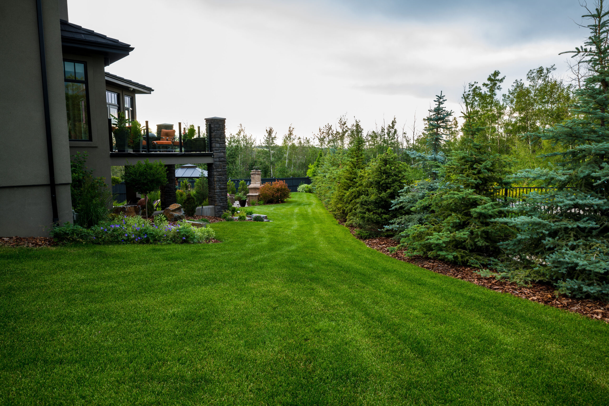 Quality landscaping with trees, turf installation and gardens.