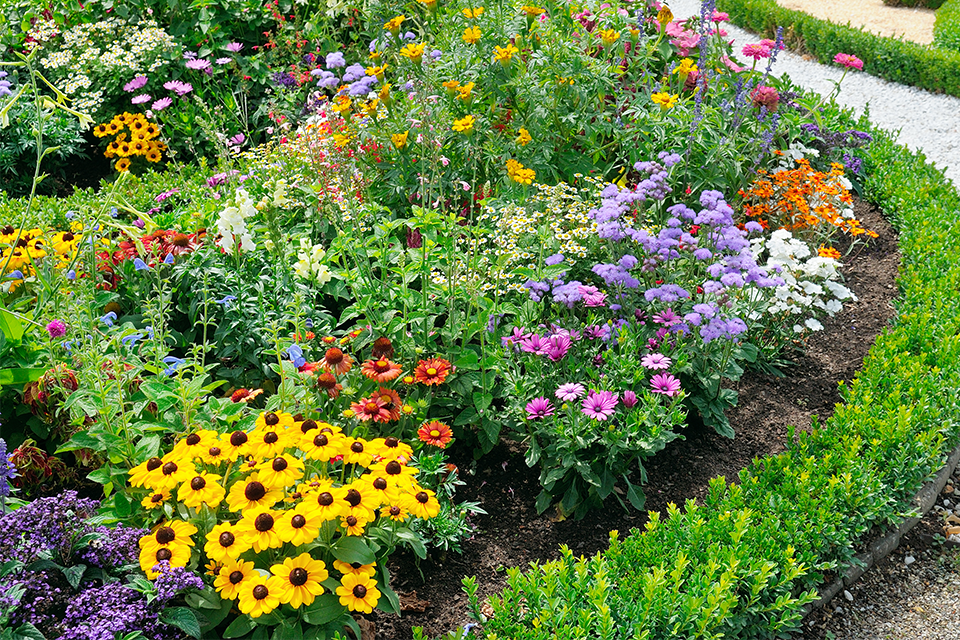 Flower-Power-GardeningFeature - Salisbury Greenhouse