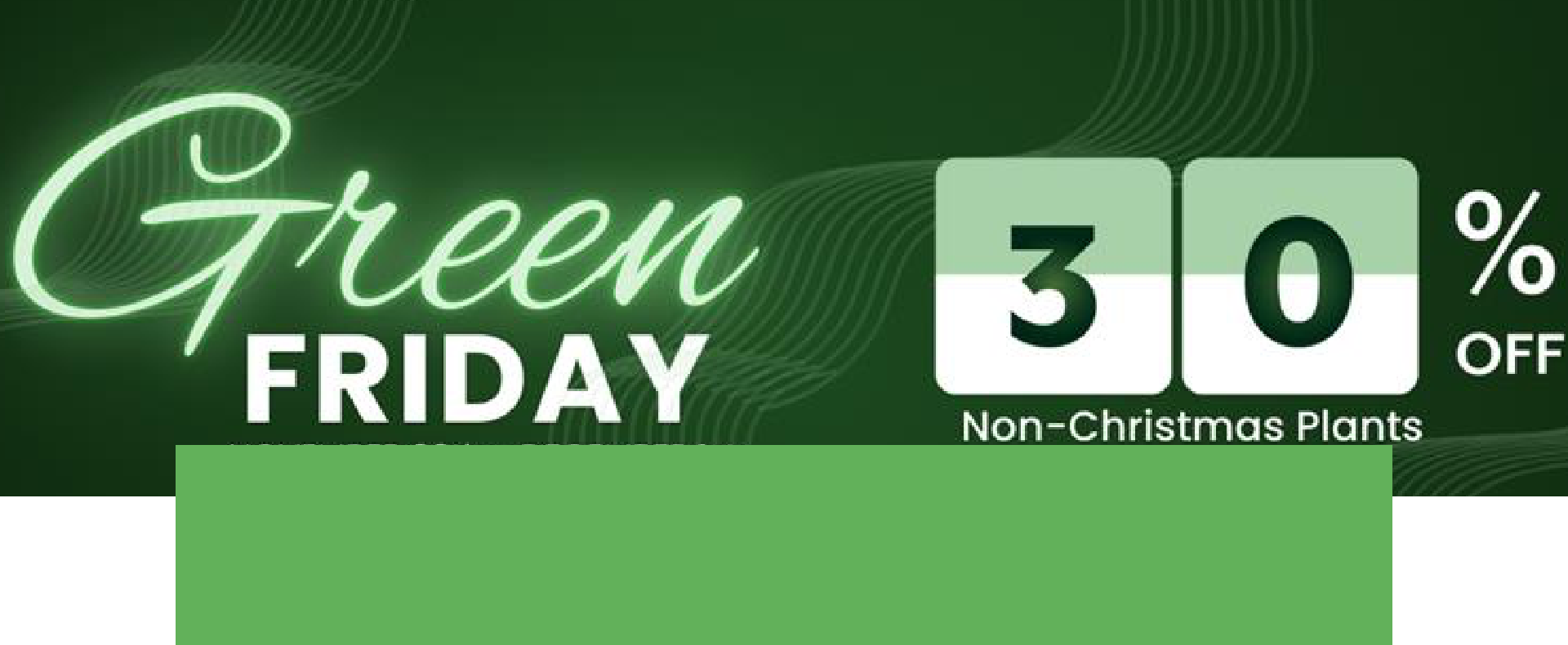 Salisbury Greenhouse | Sherwood Park, St. Albert | Green Friday