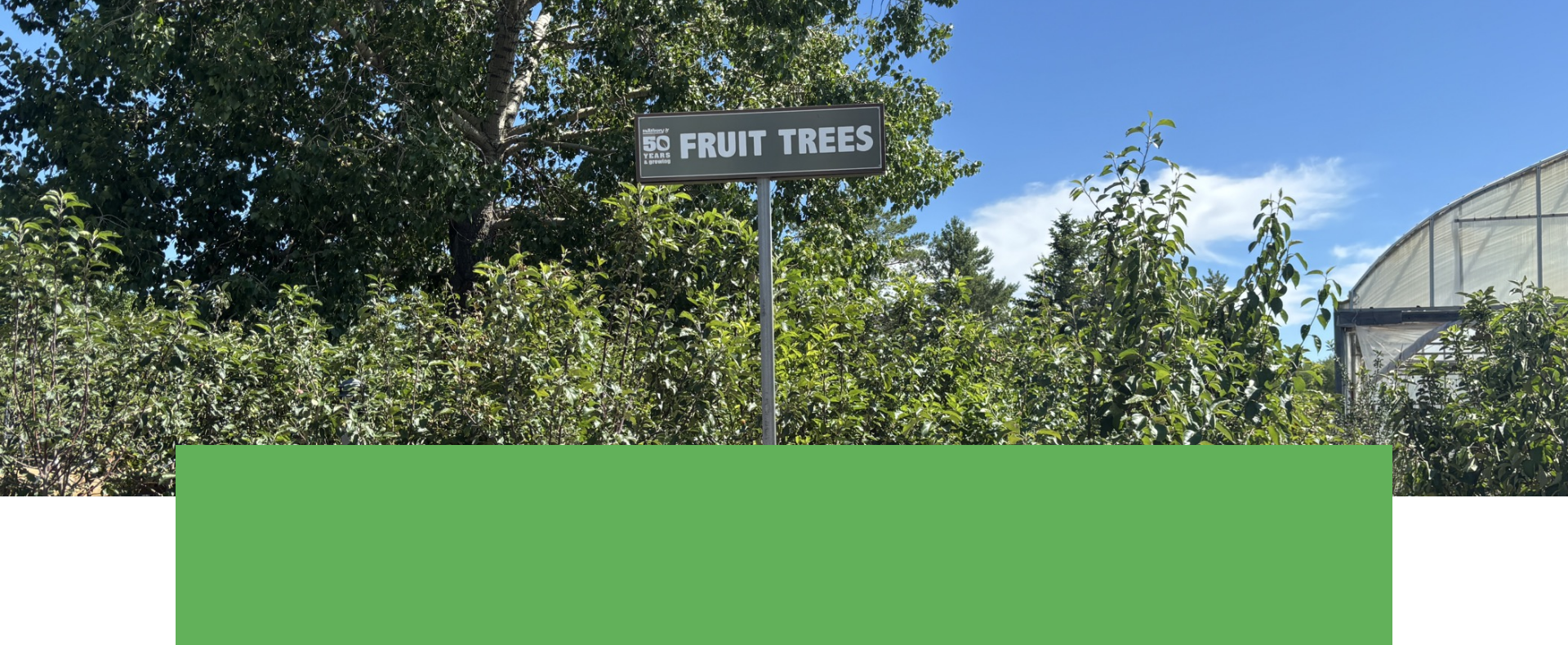 Salisbury Greenhouse | Sherwood Park, St. Albert | Hardy Fruit Trees | One Day Deal July 9, 2025