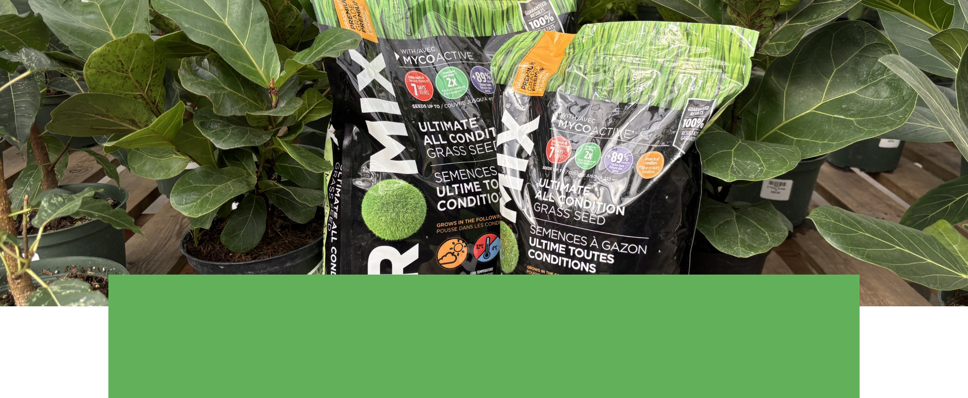 Salisbury Greenhouse | Sherwood Park, St. Albert | Pro Mix Ultimate All Condition Grass Seed | One Day Deal September 17, 2025