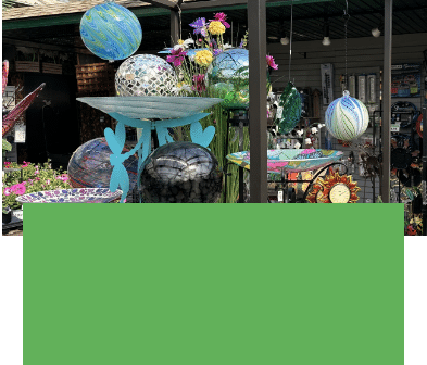 Salisbury Greenhouse | Sherwood Park, St. Albert | Gift & Garden Merchandise| One Day Deal June 19, 2025
