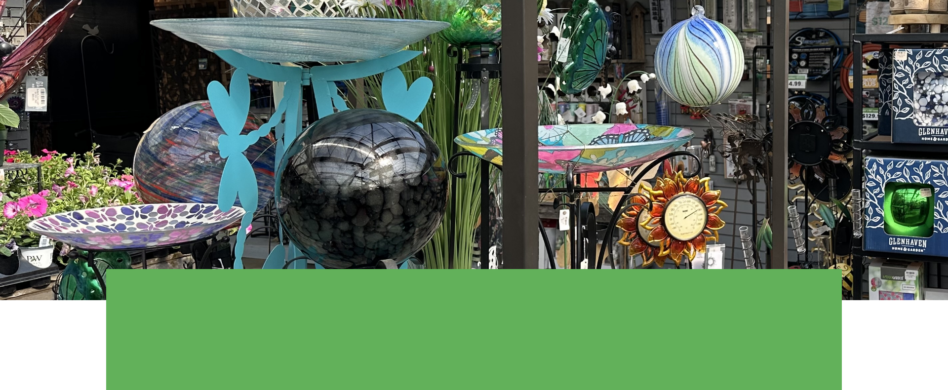 Salisbury Greenhouse | Sherwood Park, St. Albert | Gift & Garden Merchandise| One Day Deal June 19, 2025