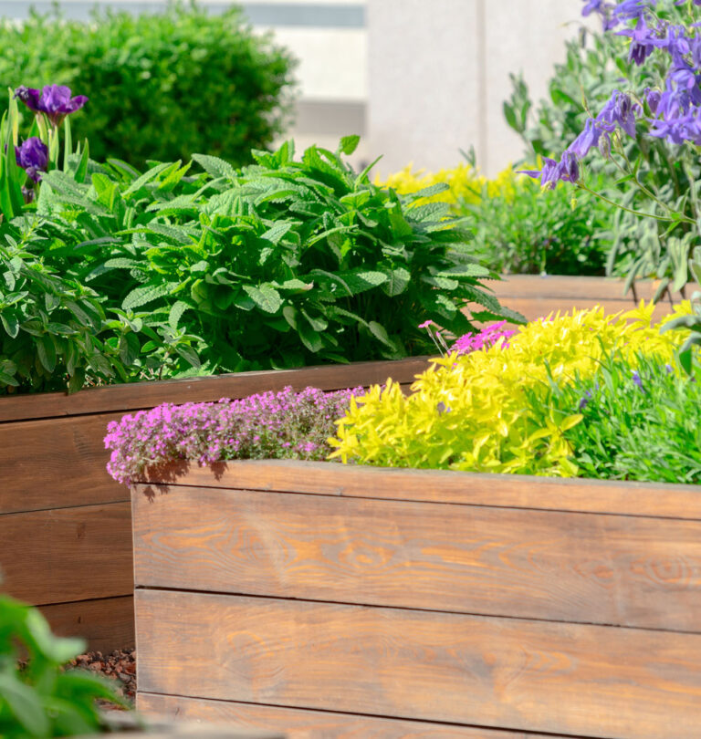 Eco Garden