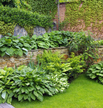 Garden trends forecast