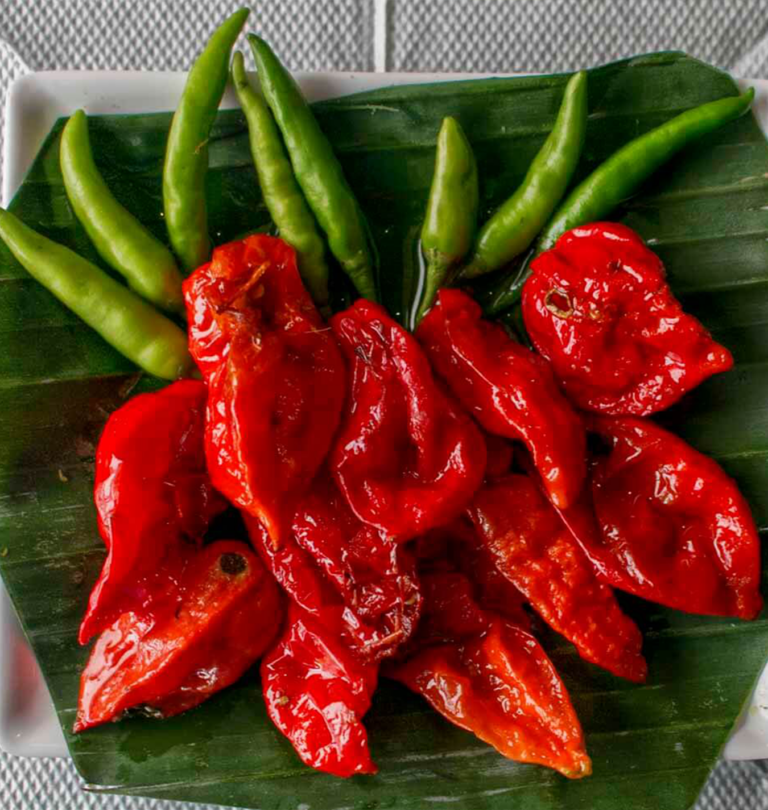 How to Grow the World’s Hottest Wild Pepper
