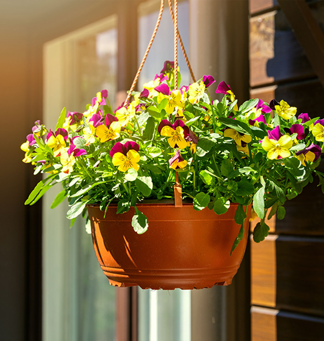 Plants for Fall Pots That Aren't Mums