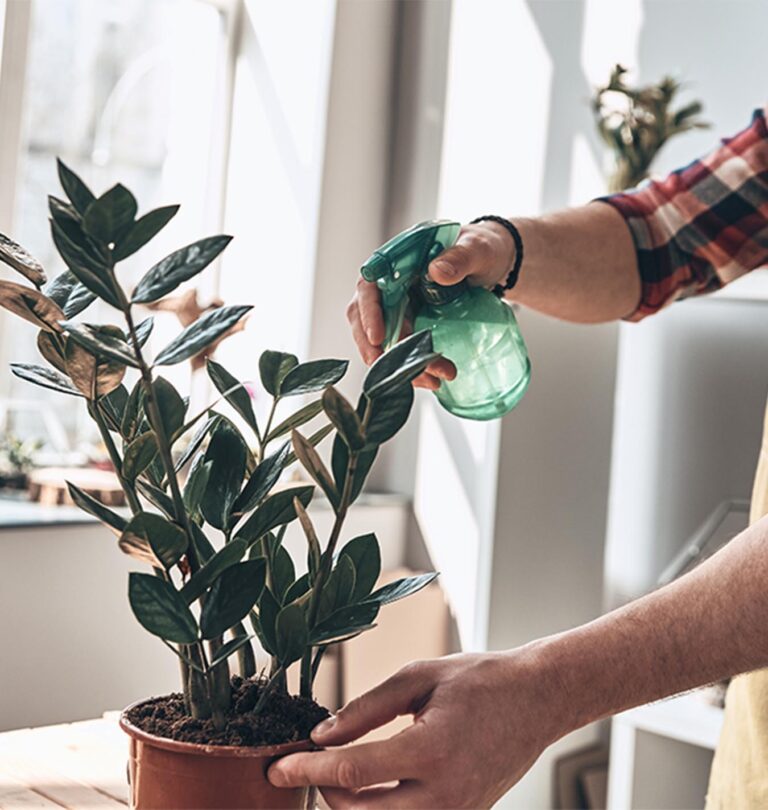 Plant Parenthood