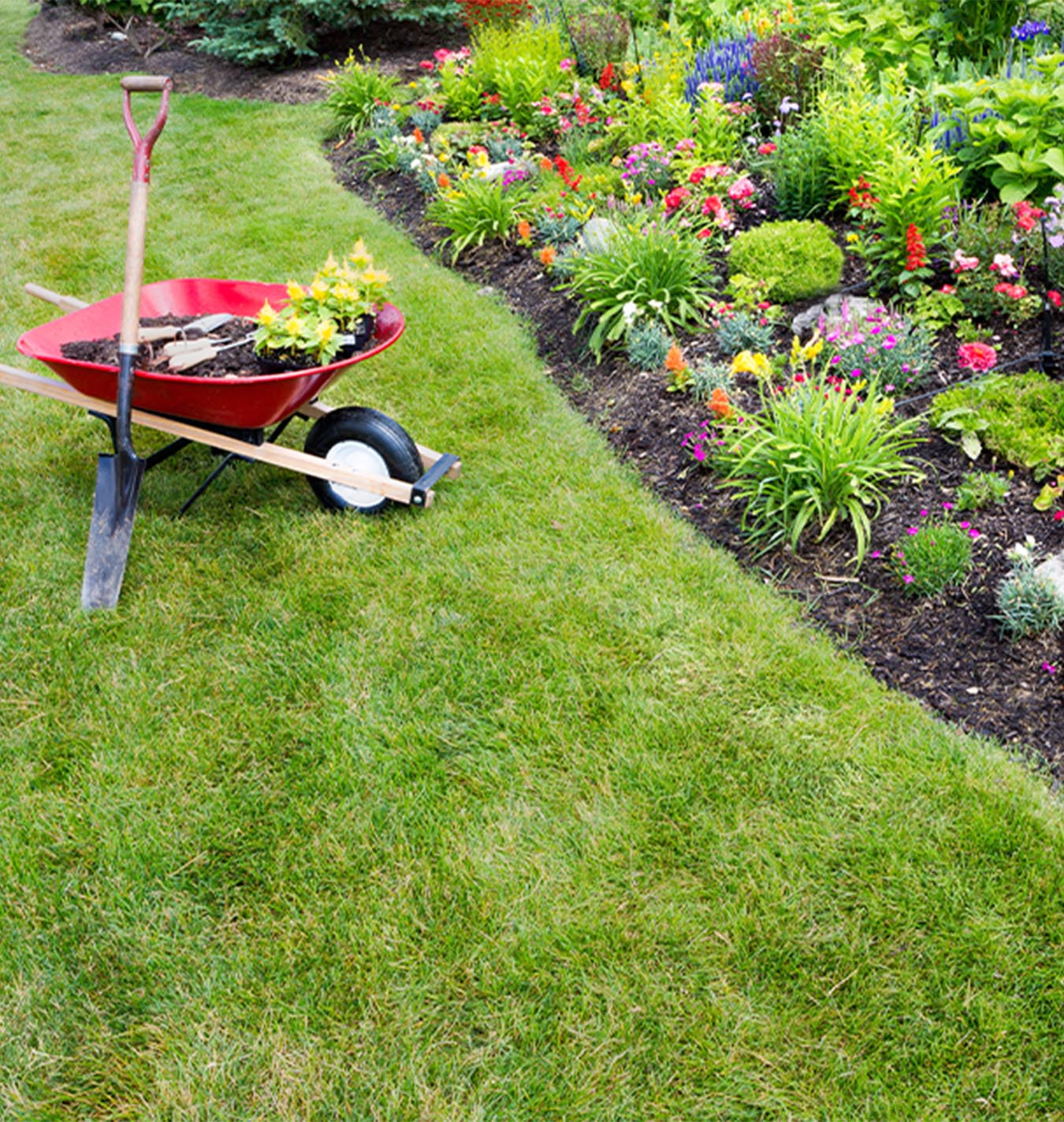Spring Yard Clean Up Salisbury Greenhouse, How To Clean Up Landscaping