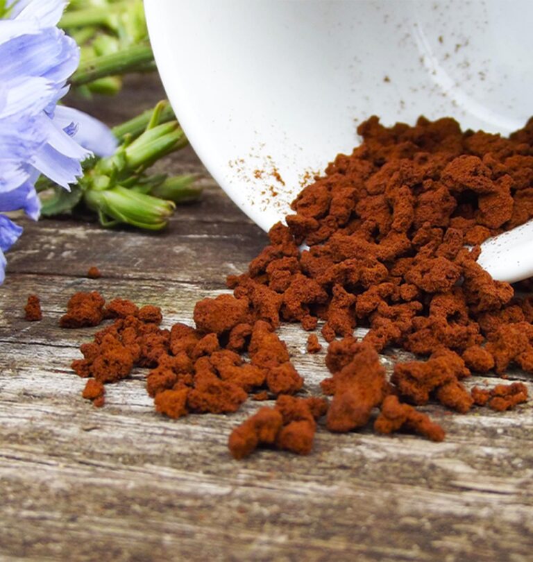 Grow Your Own Chicory Root