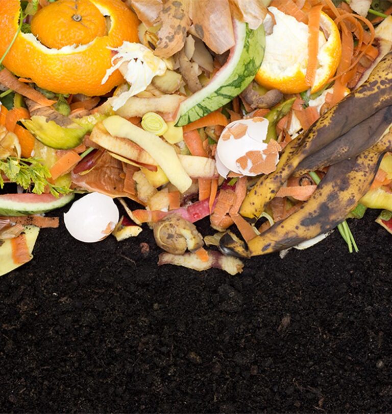 Zero Waste Gardening