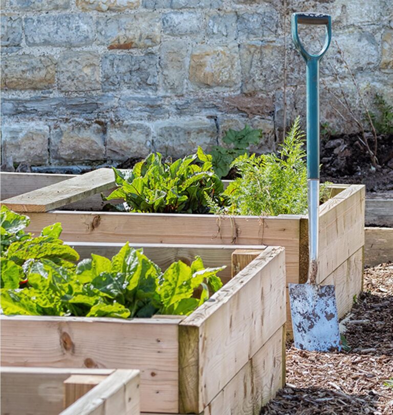 Sustainability in the Garden