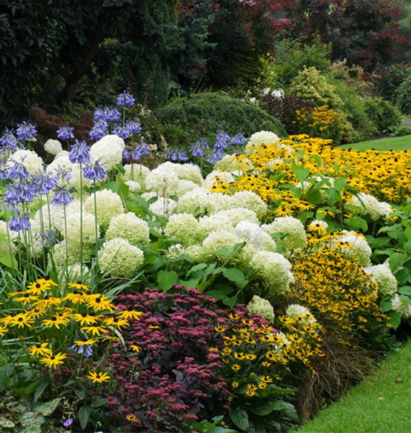 garden zones Archives - Salisbury Greenhouse