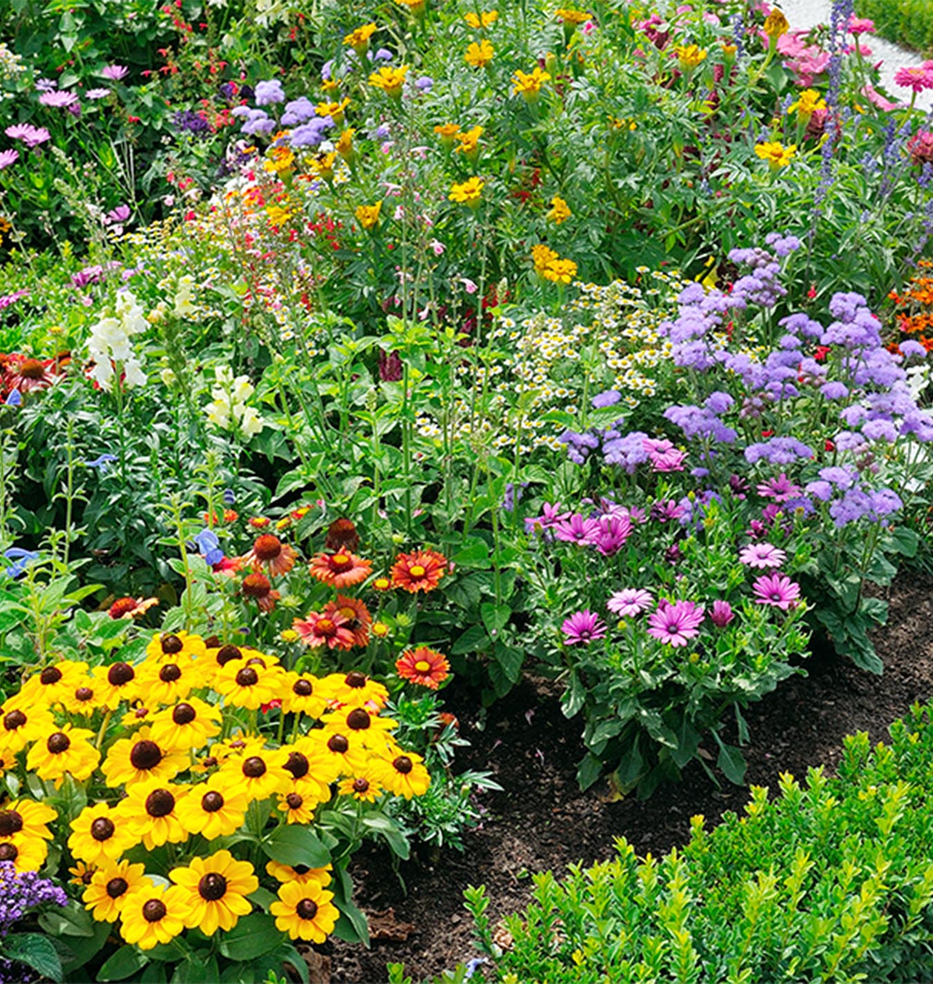 Flower Power Gardening - Salisbury Greenhouse - Blog