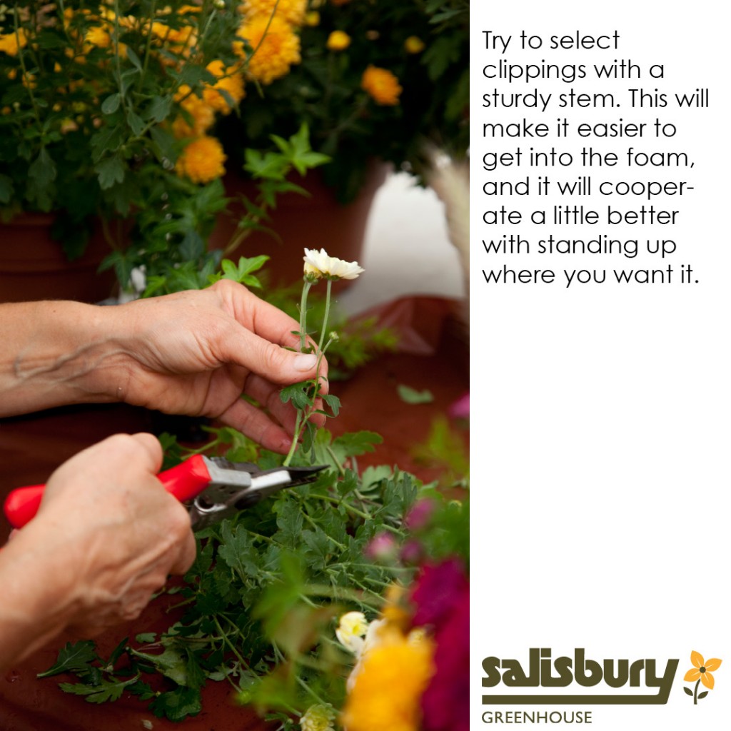 Instructions to create a Pumpkin Centerpiece | Salisbury Greenhouse - St. Albert, Sherwood Park