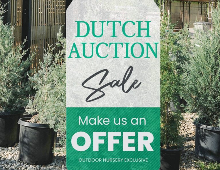 Dutch Auction | Salisbury Greenhouse - Sherwood Park, St. Albert