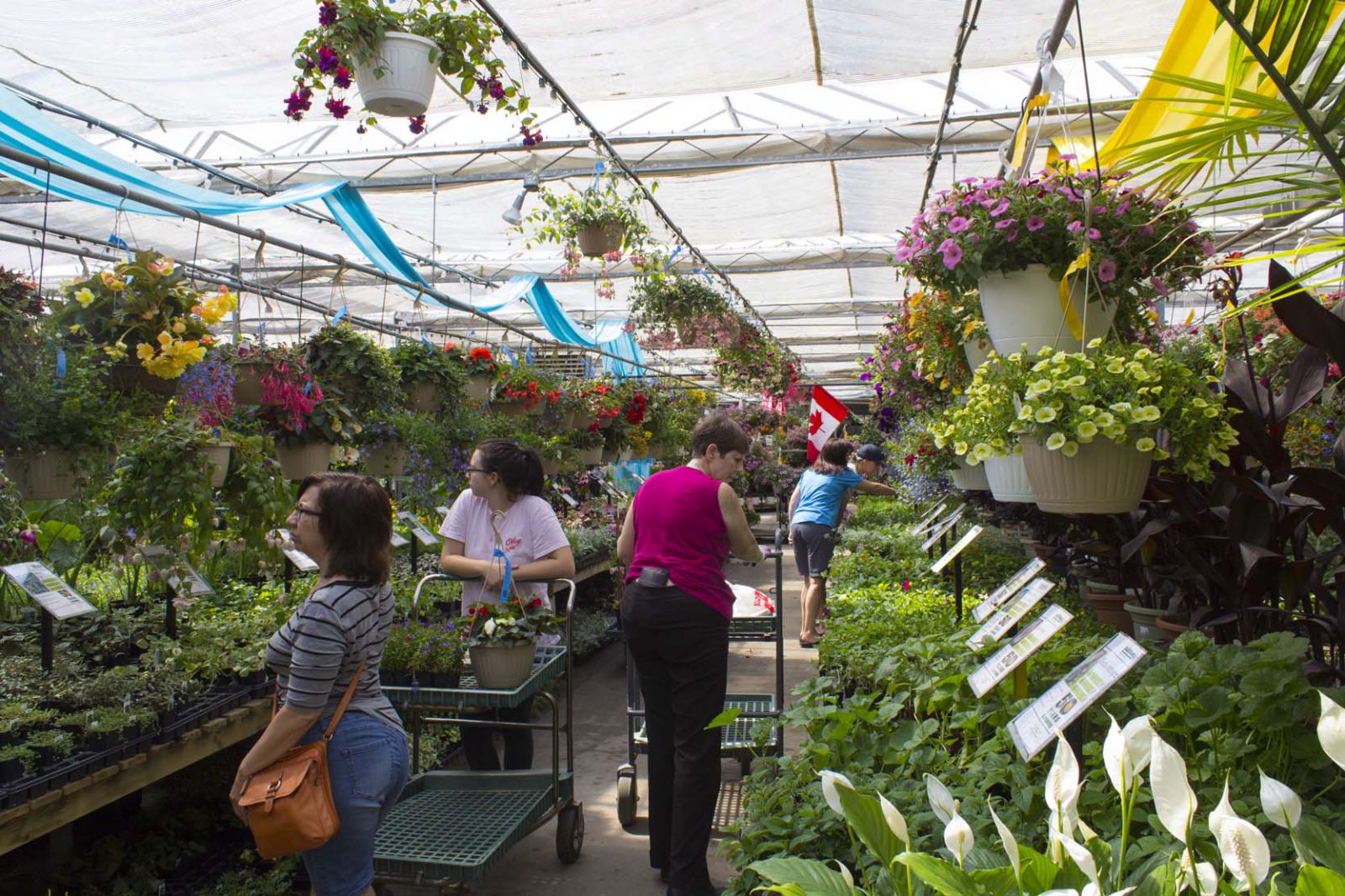 Customers at Salisbury Greenouse - Salisbury Greenhouse