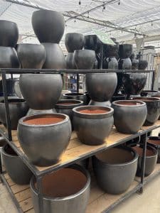 Salisbury Greenhouse | Sherwood Park, St. Albert | Ongoing Deal | Glazed Black Terracotta Pot