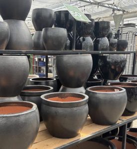 Salisbury Greenhouse | Sherwood Park, St. Albert | Ongoing Deal | Glazed Black Terracotta Pot