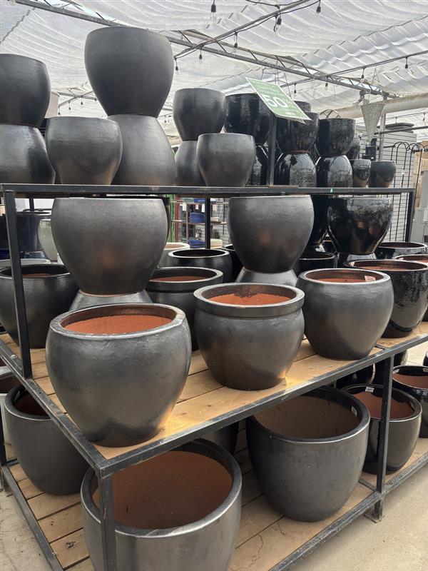 Salisbury Greenhouse | Sherwood Park, St. Albert | Ongoing Deal | Glazed Black Terracotta Pot