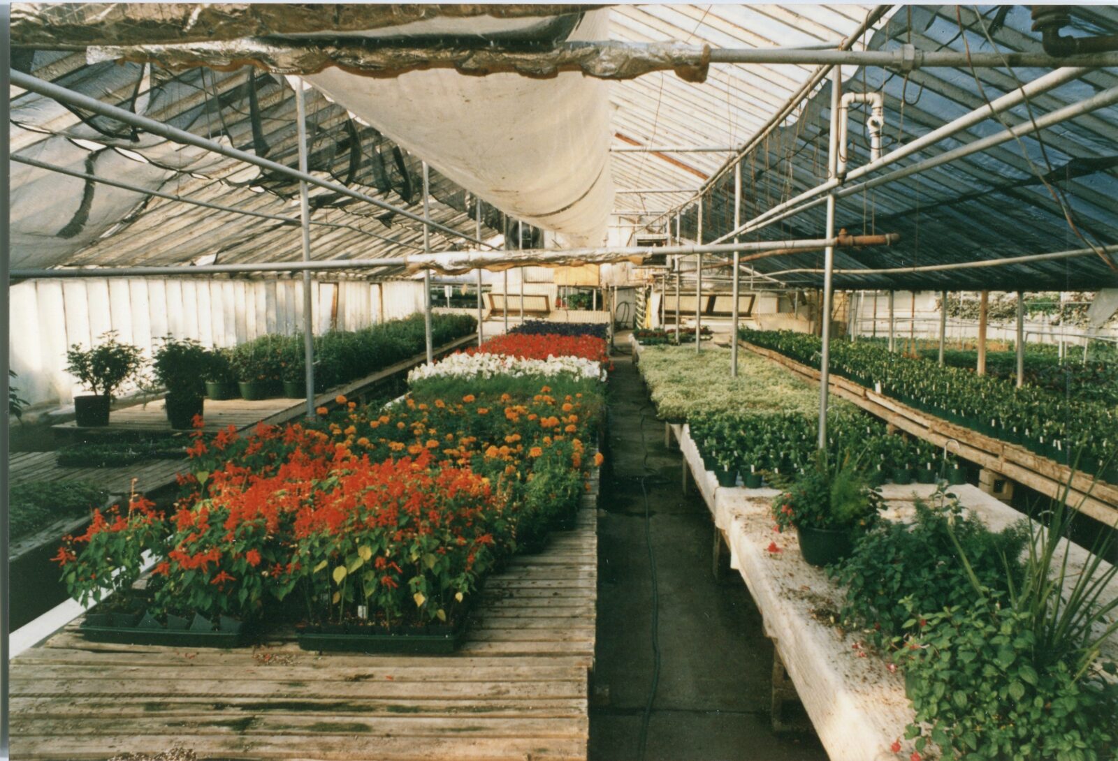 Our History Salisbury Greenhouse