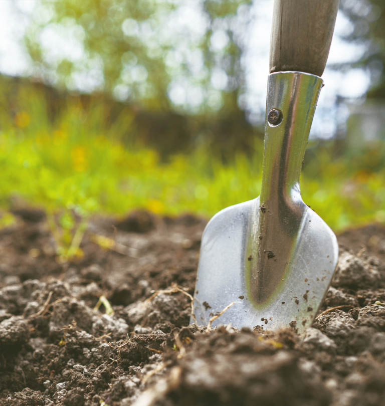 The No-Nonsense Guide to No-Till Gardening - Salisbury Greenhouse - Blog