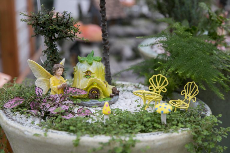Mini Fairy Garden | Salisbury Greenhouse - Sherwood Park, St. Albert