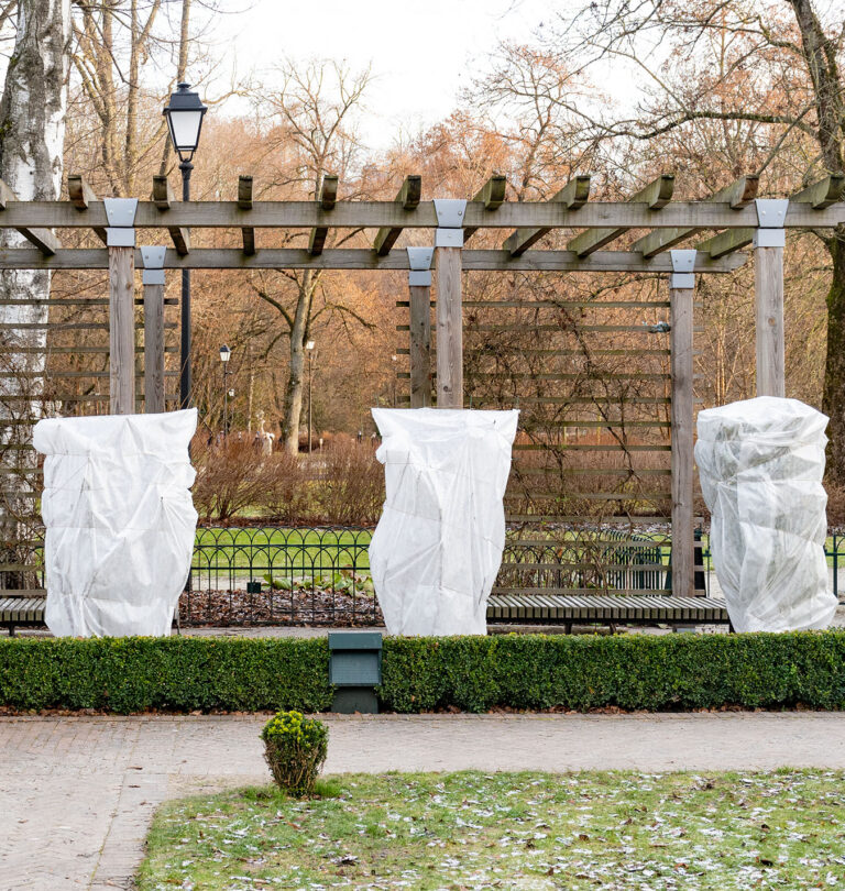 Salisbury greenhouse covering evergreens for winterizing your landscape