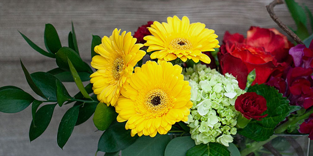 Salisbury Floral Studio - Flowers for Every Occasion-yellow gerbera daisy