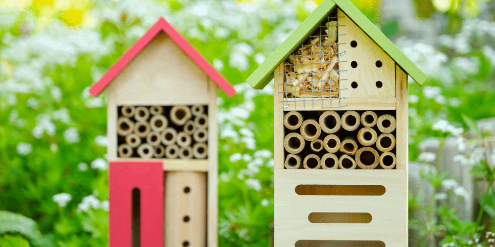 Salisbury Greenhouse-Sherwood Park-Alberta-wildlife protection tips -insect hotels