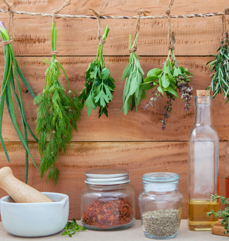 Salisbury-Greenhouse--3-Easy-Ways-to-Preserve-Your-Garden-Herbs-in-Alberta-hanging-herbs-to-dry