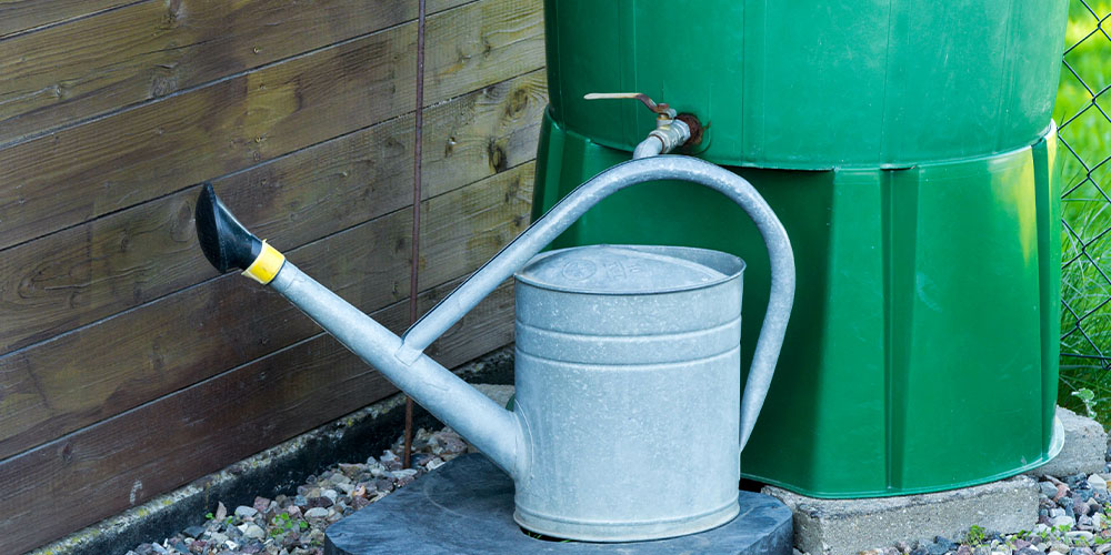Salisbury Greenhouse A BacktoBasics Watering Guide for Edmontonrain barrel in garden