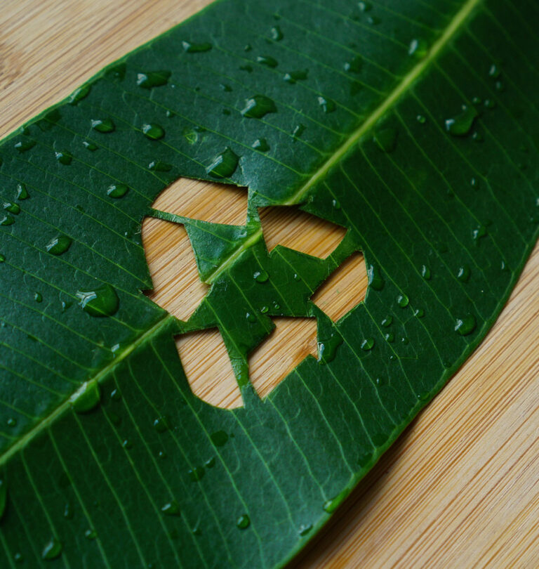 Salisbury Greenhouse-Alberta-Eco-Friendly Garden Resolutions for 2023-recycle logo