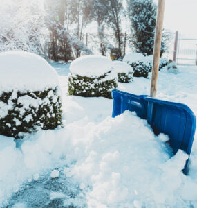 Salisbury Greenhouse-Alberta-Managing Snow in the Landscape-shovel in snow