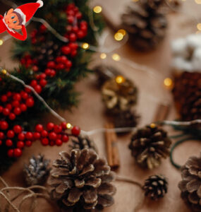 Salisbury Greenhouse-Alberta-Natural Christmas Tree Decorations-natural elements