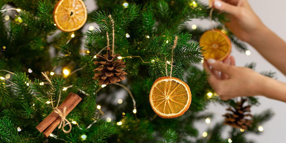 Salisbury Greenhouse-Alberta-Natural Christmas Tree Decorations-orange slices