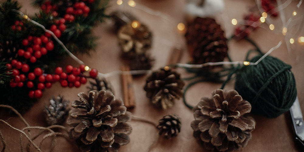 Salisbury Greenhouse-Alberta-Natural Christmas Tree Decorations-pinecones