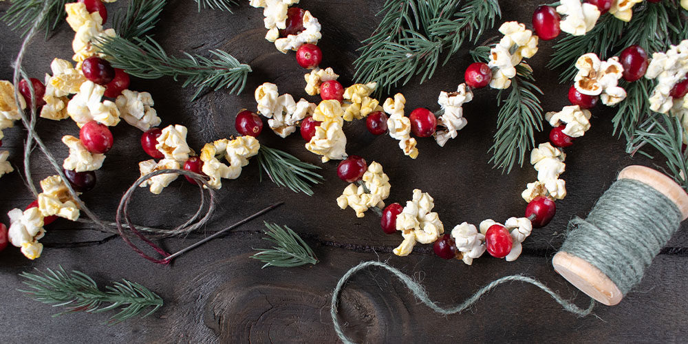 Salisbury Greenhouse-Alberta-Natural Christmas Tree Decorations-popcorn garland