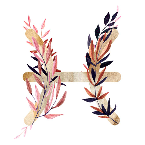 Pisces Season Houseplants Salisbury Greenhouse Blog