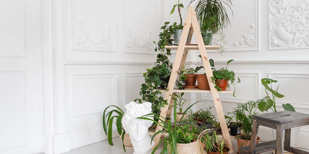 Salisbury Greenhouse -DIY plant stand for your valentine-ladder houseplant diy stand