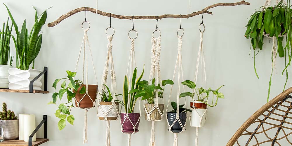 Salisbury Greenhouse -DIY plant stand for your valentine-macrame plant hanging boho