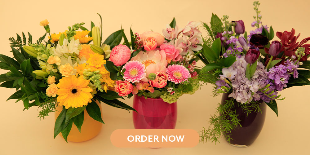 Salisbury Greenhouse -Order Flowers Online for Mothers Day 2022-moms favourite colour