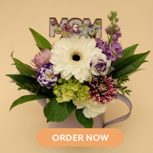 Salisbury Greenhouse -Order Flowers Online for Mothers Day 2022-mothers day special